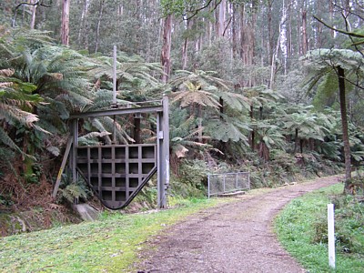 Warburton Aqueduct - Warburton Tours Picture Gallery Images of